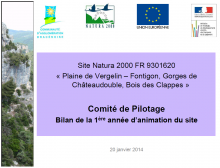 Présentation du COPIL Bilan 2013